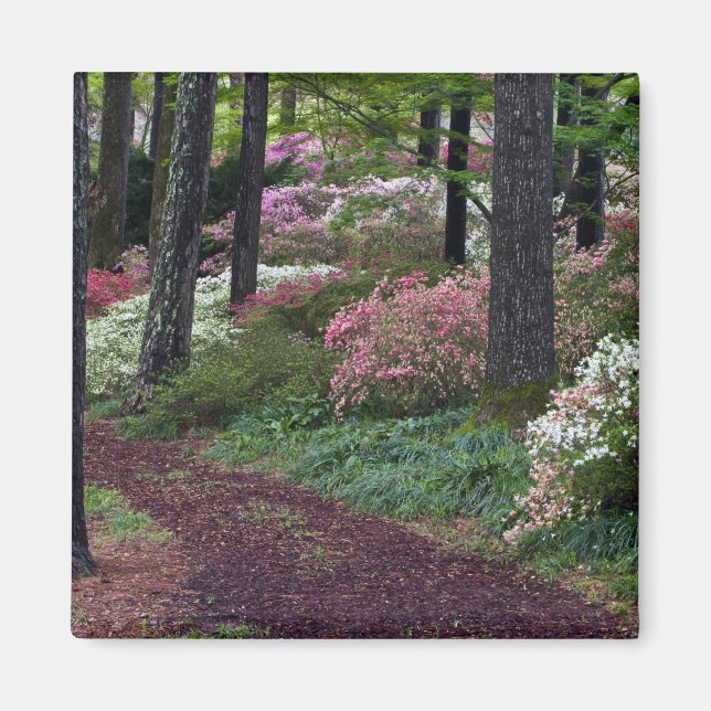 USA, Georgia, Callaway Gardens. Pathway Magnet (Front)