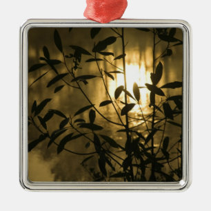 USA, Georgia, Callaway Gardens, Sunrise Metal Ornament