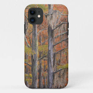 USA, Georgia, George Smith State Park, Cypress iPhone 11 Case
