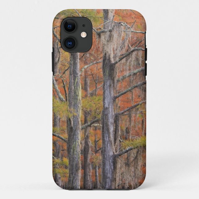 USA, Georgia, George Smith State Park, Cypress Case-Mate iPhone Case (Back)