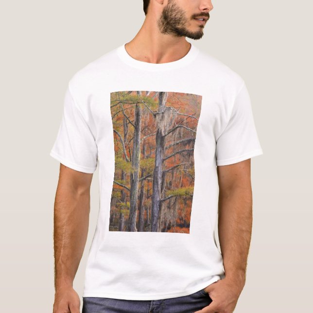 USA, Georgia, George Smith State Park, Cypress T-Shirt (Front)