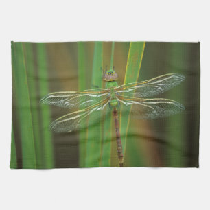 USA, Georgia. Green darner dragonfly on reeds Kitchen Towel