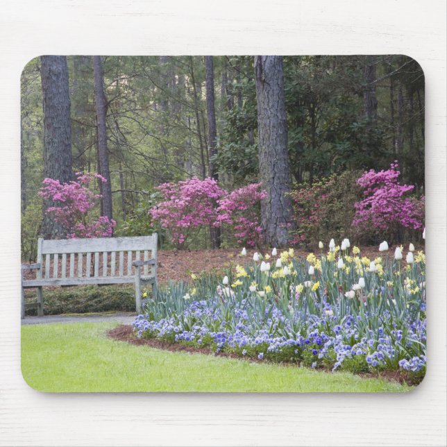 USA, Georgia, Pine Mountain. A border of Mouse Pad (Front)