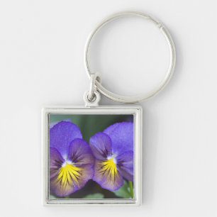 USA, Georgia, Pine Mountain. A closeup of pansy Keychain