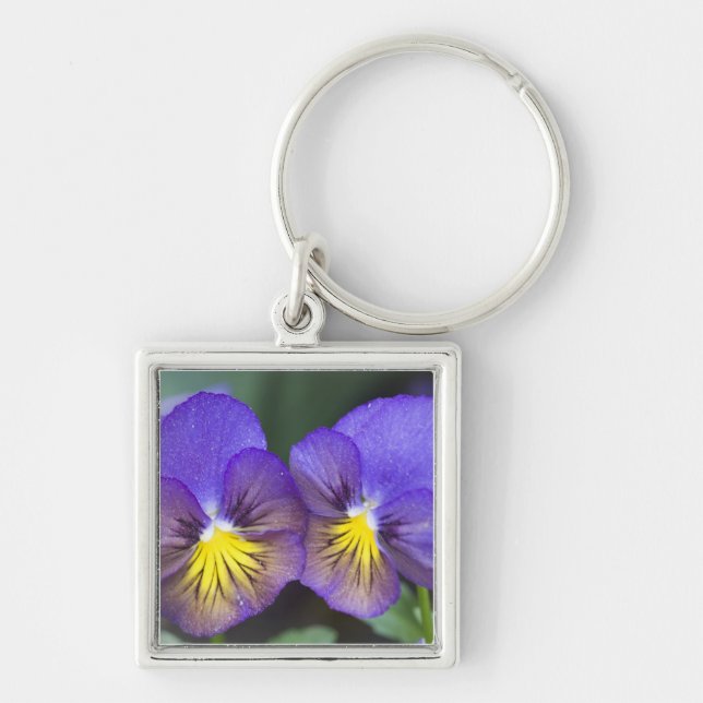 USA, Georgia, Pine Mountain. A closeup of pansy Keychain (Front)
