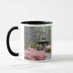 USA, Georgia, Pine Mountain. A gazebo amongst Mug