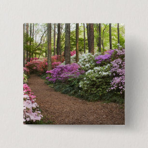 USA, Georgia, Pine Mountain. A pathway through 2 Inch Square Button