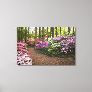 USA, Georgia, Pine Mountain. A pathway through Canvas Print