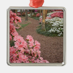 USA, Georgia, Pine Mountain. A pathway through Metal Ornament