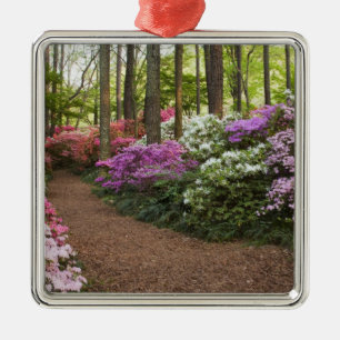 USA, Georgia, Pine Mountain. A pathway through Metal Ornament