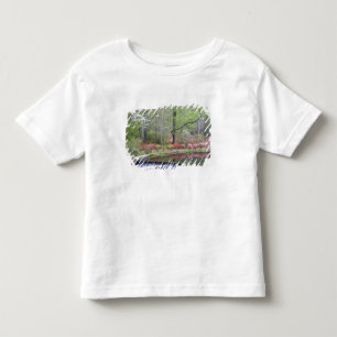 USA, Georgia, Pine Mountain. A small waterfall Toddler T-shirt
