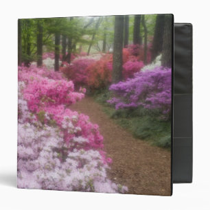 USA; Georgia; Pine Mountain. Azaleas at 2 Binder