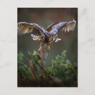 USA, Georgia, Pine Mountain, Callaway Gardens. Postcard