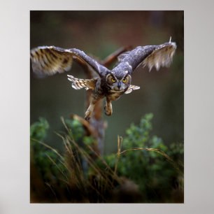 USA, Georgia, Pine Mountain, Callaway Gardens. Poster