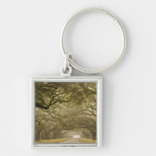 USA, Georgia, Savannah, An oak lined drive in Keychain