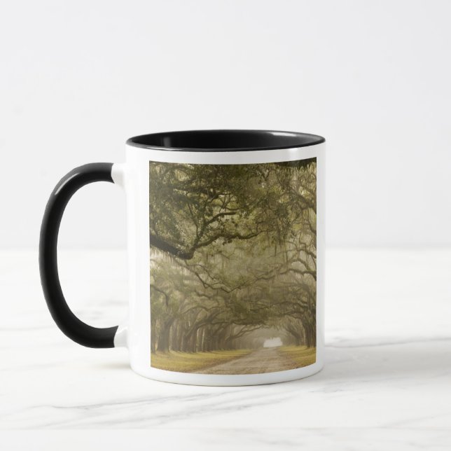 USA, Georgia, Savannah, An oak lined drive in Mug (Left)