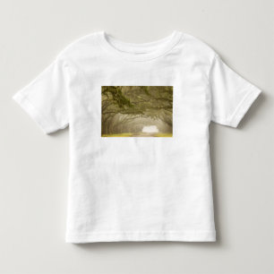USA, Georgia, Savannah, An oak lined drive in Toddler T-shirt