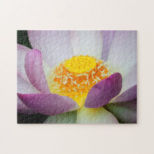 USA, Georgia, Savannah, Close-Up Of A Lotus 2 Jigsaw Puzzle