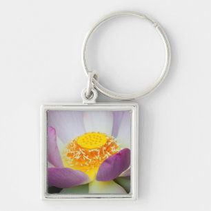 USA, Georgia, Savannah, Close-Up Of A Lotus 2 Keychain