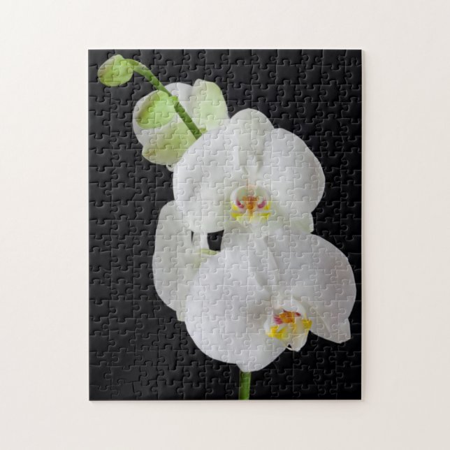 USA, Georgia, Savannah, Cluster Of Orchids Jigsaw Puzzle (Vertical)