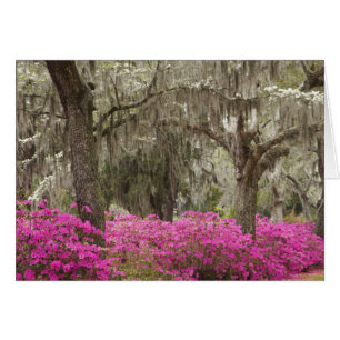 USA, Georgia, Savannah, Spring at Historic