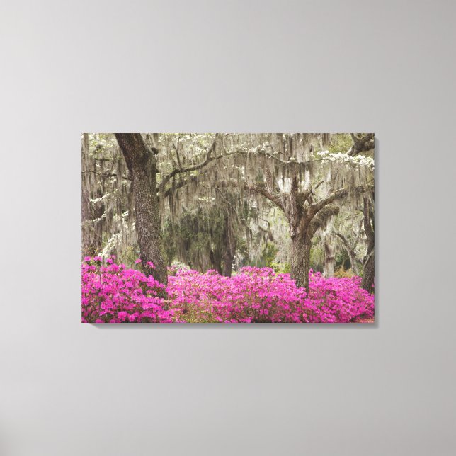 USA, Georgia, Savannah, Spring at Historic Canvas Print (Front)