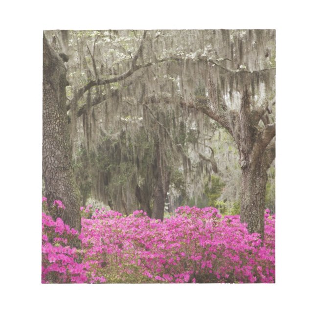 USA, Georgia, Savannah, Spring at Historic Notepad (Front)