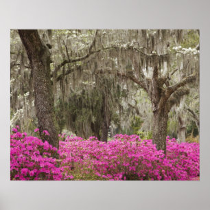 USA, Georgia, Savannah, Spring at Historic Poster