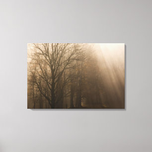 USA Great Smoky Mountain NP Tennessee trees in Canvas Print
