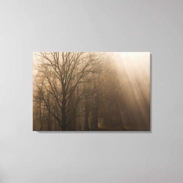 USA Great Smoky Mountain NP Tennessee trees in Canvas Print (Front)