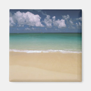USA, Hawaii. Beach scene Magnet