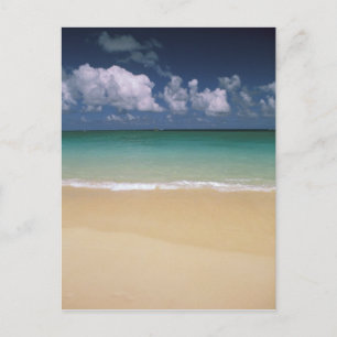 USA, Hawaii. Beach scene Postcard
