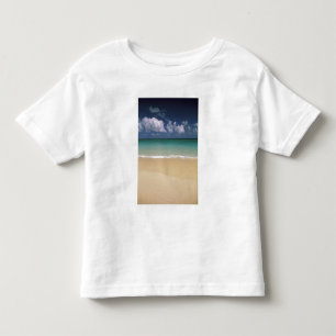 USA, Hawaii. Beach scene Toddler T-shirt