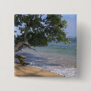 USA, Hawaii, Kauai, beach scenic. RF) 2 Inch Square Button