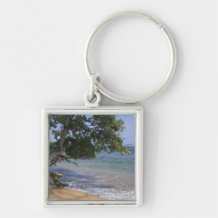 USA, Hawaii, Kauai, beach scenic. RF) Keychain