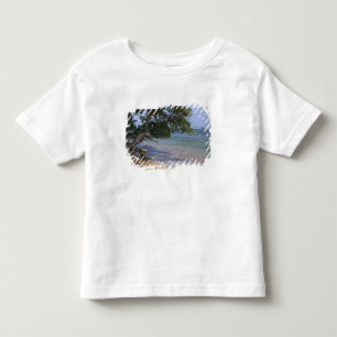 USA, Hawaii, Kauai, beach scenic. RF) Toddler T-shirt