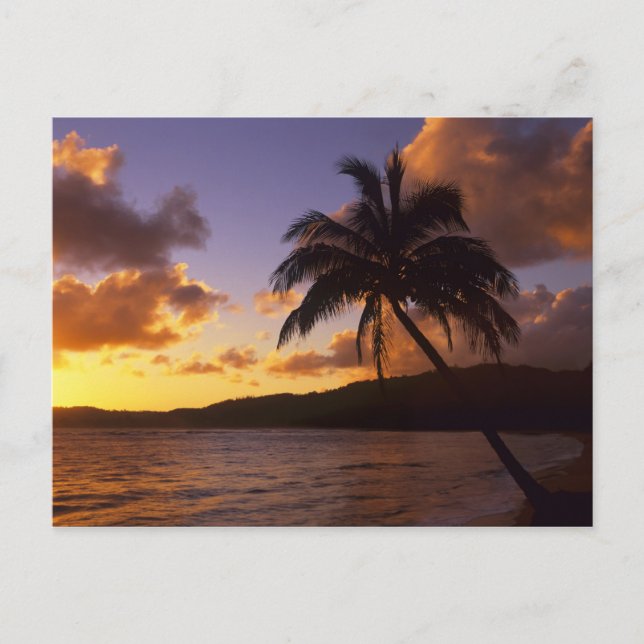 USA, Hawaii, Kauai, Colourful sunrise in a 2 Postcard (Front)