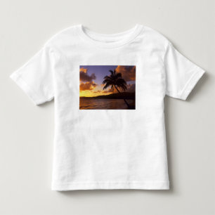 USA, Hawaii, Kauai, Colourful sunrise in a 2 Toddler T-shirt