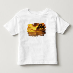 USA, Hawaii, Kauai, Colourful sunrise in a Toddler T-shirt
