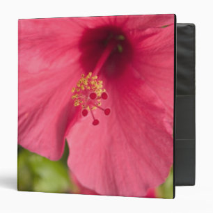 USA, Hawaii, Kauai, Hibiscus Binder