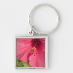 USA, Hawaii, Kauai, Hibiscus Keychain