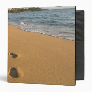USA, Hawaii, Kauai, Kapa'a, beachfront. RF) Binder