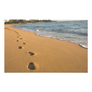 USA, Hawaii, Kauai, Kapa'a, beachfront. RF) Photo Print