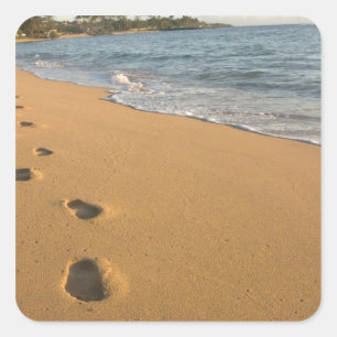 USA, Hawaii, Kauai, Kapa'a, beachfront. RF) Square Sticker