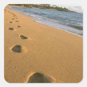 USA, Hawaii, Kauai, Kapa'a, beachfront. Square Sticker