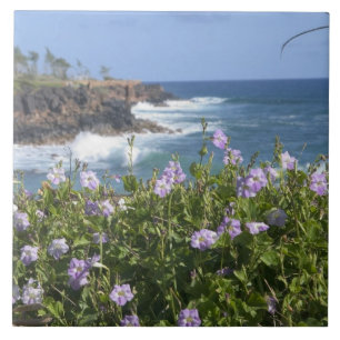 USA, Hawaii, Kauai, near Kapaa, northwest Tile