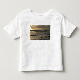 USA, Hawaii, Kauai, southwest coast, near Waimea 2 Toddler T-shirt