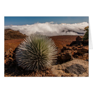 USA, Hawaii, Maui, Haleakala National Park