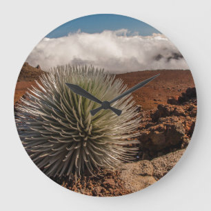 USA, Hawaii, Maui, Haleakala National Park Large Clock