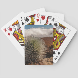 USA, Hawaii, Maui, Haleakala National Park Playing Cards